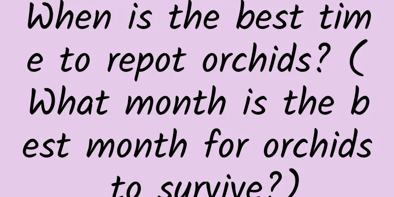When is the best time to repot orchids? (What month is the best month for orchids to survive?)