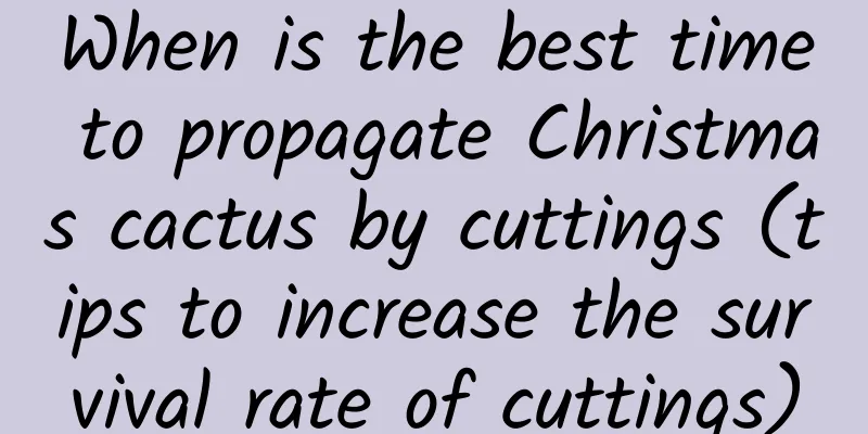When is the best time to propagate Christmas cactus by cuttings (tips to increase the survival rate of cuttings)