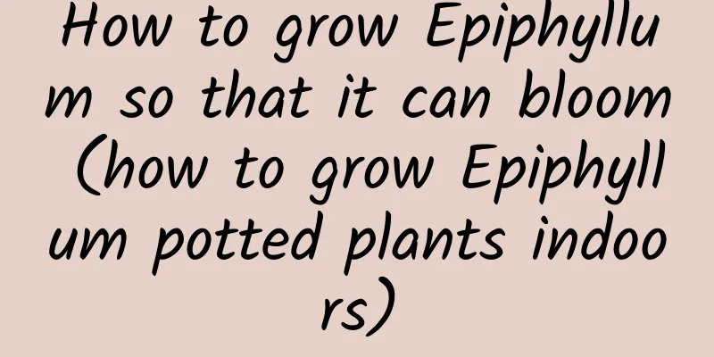 How to grow Epiphyllum so that it can bloom (how to grow Epiphyllum potted plants indoors)