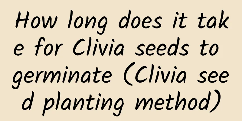 How long does it take for Clivia seeds to germinate (Clivia seed planting method)