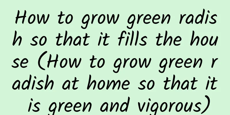 How to grow green radish so that it fills the house (How to grow green radish at home so that it is green and vigorous)