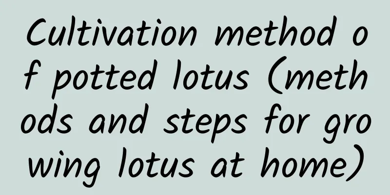 Cultivation method of potted lotus (methods and steps for growing lotus at home)