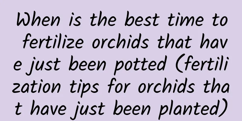 When is the best time to fertilize orchids that have just been potted (fertilization tips for orchids that have just been planted)
