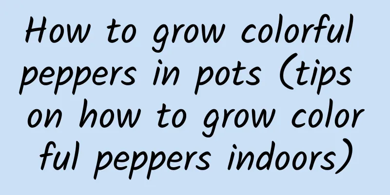 How to grow colorful peppers in pots (tips on how to grow colorful peppers indoors)