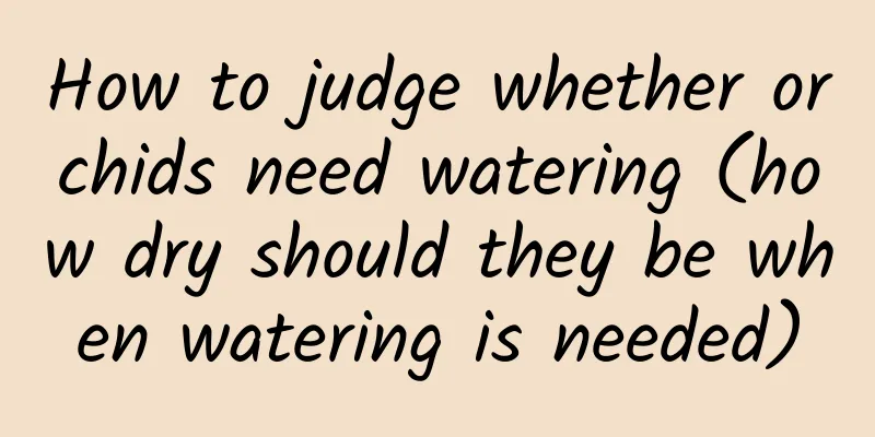 How to judge whether orchids need watering (how dry should they be when watering is needed)