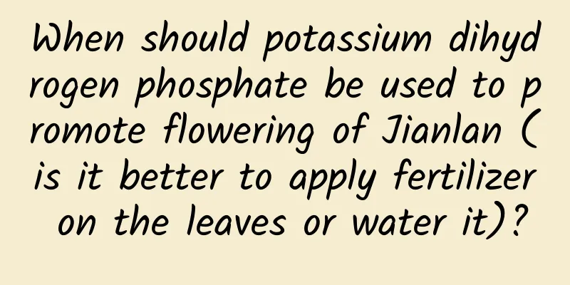 When should potassium dihydrogen phosphate be used to promote flowering of Jianlan (is it better to apply fertilizer on the leaves or water it)?