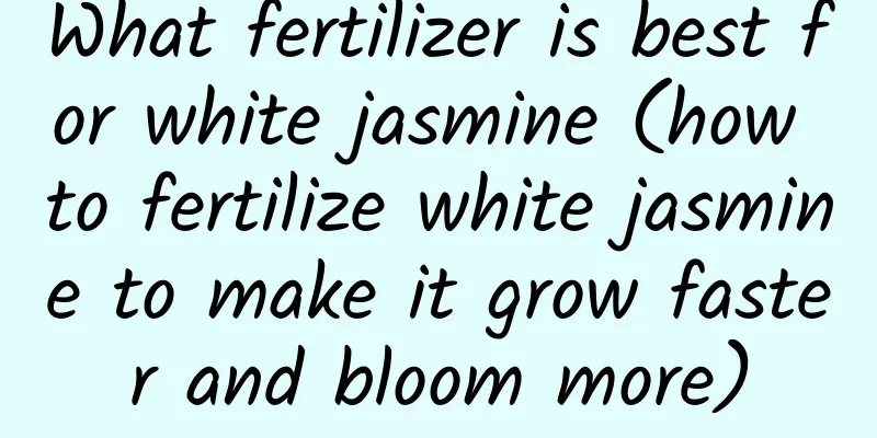 What fertilizer is best for white jasmine (how to fertilize white jasmine to make it grow faster and bloom more)