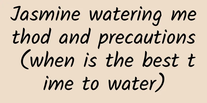 Jasmine watering method and precautions (when is the best time to water)