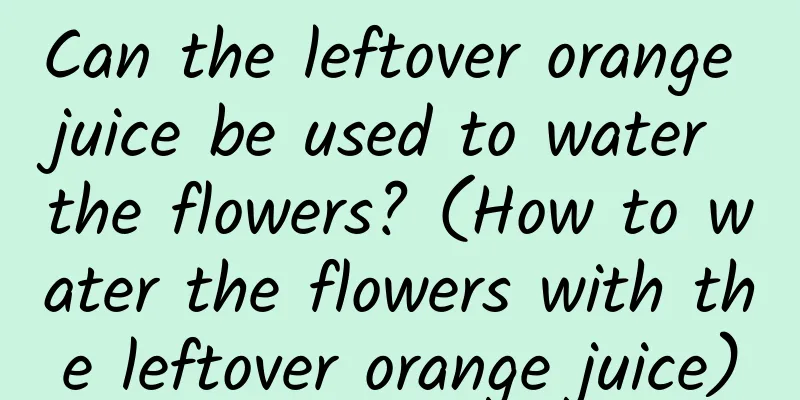 Can the leftover orange juice be used to water the flowers? (How to water the flowers with the leftover orange juice)