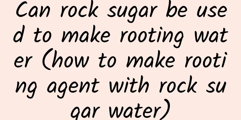 Can rock sugar be used to make rooting water (how to make rooting agent with rock sugar water)