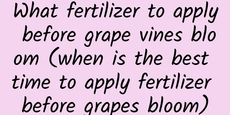 What fertilizer to apply before grape vines bloom (when is the best time to apply fertilizer before grapes bloom)
