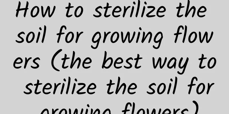 How to sterilize the soil for growing flowers (the best way to sterilize the soil for growing flowers)