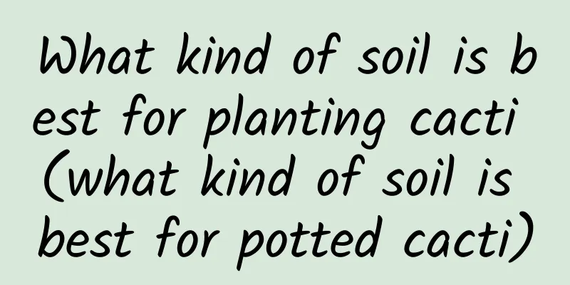 What kind of soil is best for planting cacti (what kind of soil is best for potted cacti)