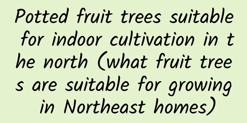 Potted fruit trees suitable for indoor cultivation in the north (what fruit trees are suitable for growing in Northeast homes)