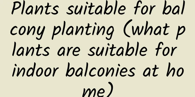 Plants suitable for balcony planting (what plants are suitable for indoor balconies at home)
