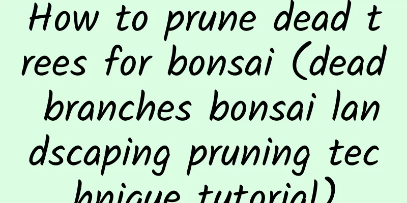How to prune dead trees for bonsai (dead branches bonsai landscaping pruning technique tutorial)