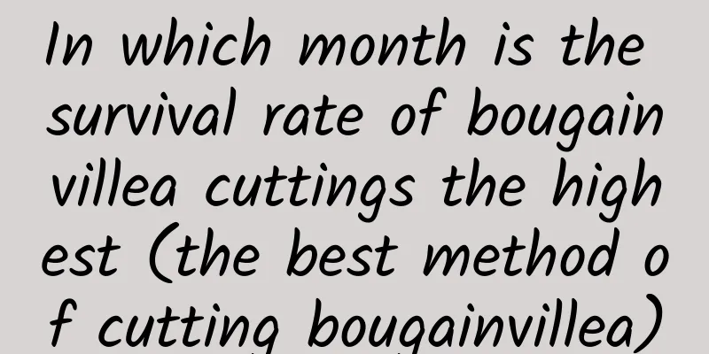 In which month is the survival rate of bougainvillea cuttings the highest (the best method of cutting bougainvillea)