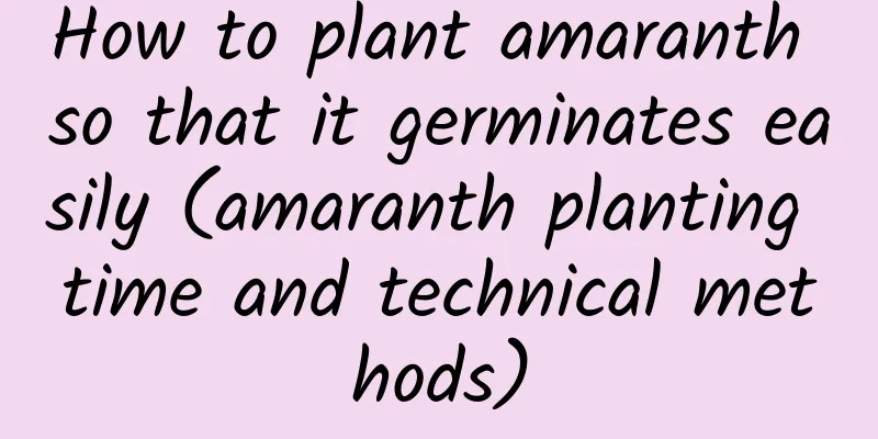 How to plant amaranth so that it germinates easily (amaranth planting time and technical methods)