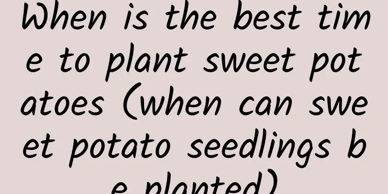 When is the best time to plant sweet potatoes (when can sweet potato seedlings be planted)