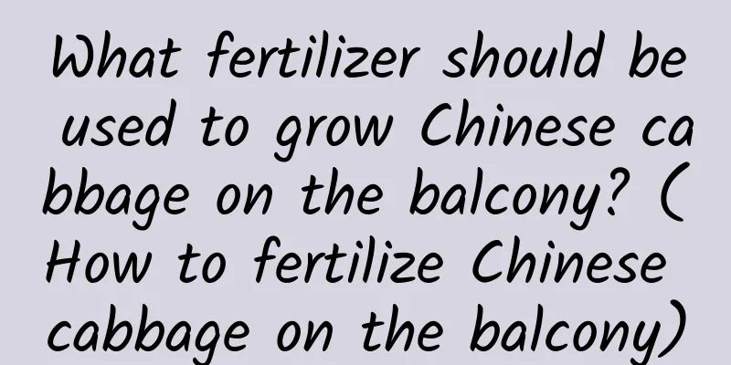 What fertilizer should be used to grow Chinese cabbage on the balcony? (How to fertilize Chinese cabbage on the balcony)