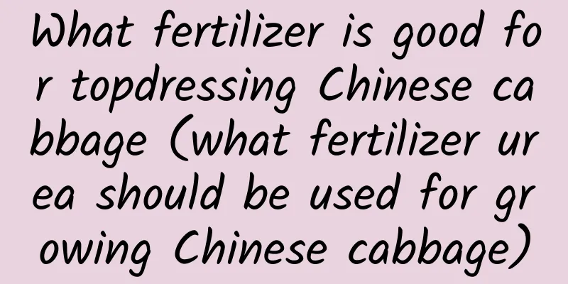 What fertilizer is good for topdressing Chinese cabbage (what fertilizer urea should be used for growing Chinese cabbage)