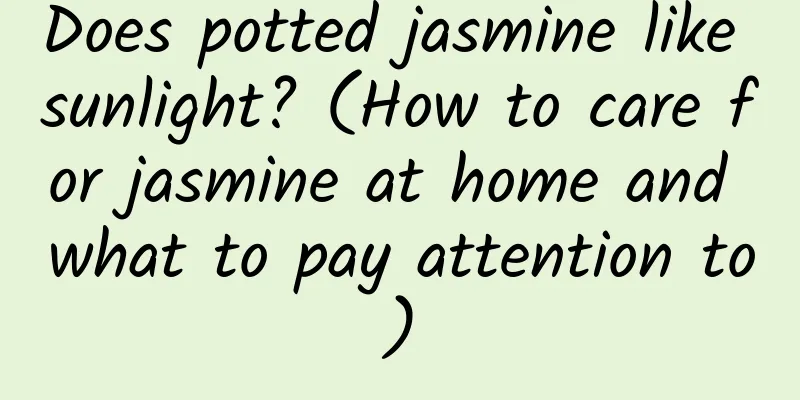 Does potted jasmine like sunlight? (How to care for jasmine at home and what to pay attention to)