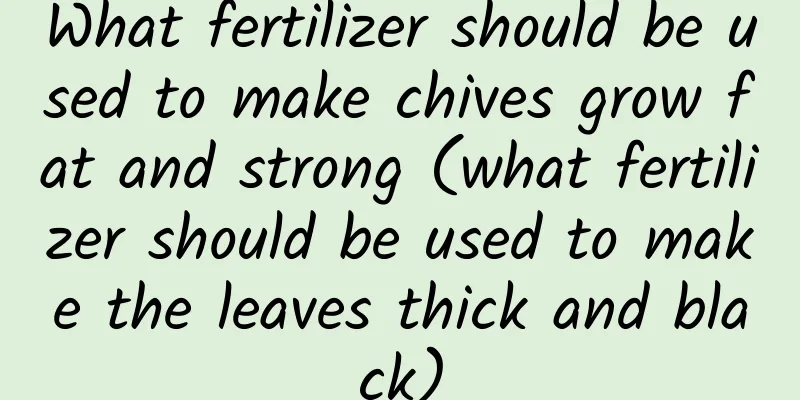What fertilizer should be used to make chives grow fat and strong (what fertilizer should be used to make the leaves thick and black)
