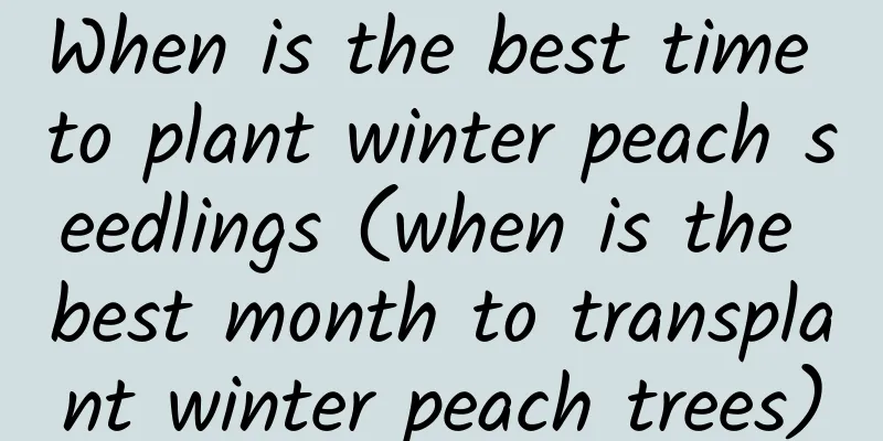 When is the best time to plant winter peach seedlings (when is the best month to transplant winter peach trees)