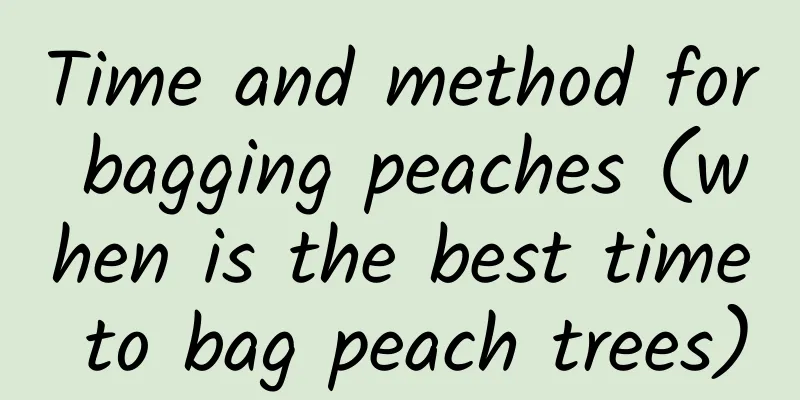 Time and method for bagging peaches (when is the best time to bag peach trees)