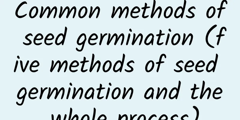 Common methods of seed germination (five methods of seed germination and the whole process)