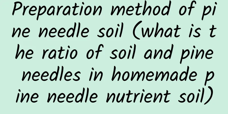 Preparation method of pine needle soil (what is the ratio of soil and pine needles in homemade pine needle nutrient soil)
