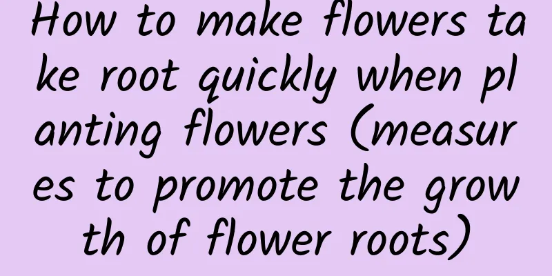 How to make flowers take root quickly when planting flowers (measures to promote the growth of flower roots)
