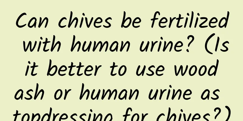 Can chives be fertilized with human urine? (Is it better to use wood ash or human urine as topdressing for chives?)