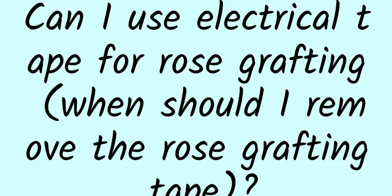 Can I use electrical tape for rose grafting (when should I remove the rose grafting tape)?