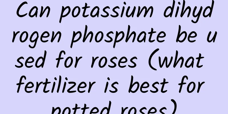 Can potassium dihydrogen phosphate be used for roses (what fertilizer is best for potted roses)
