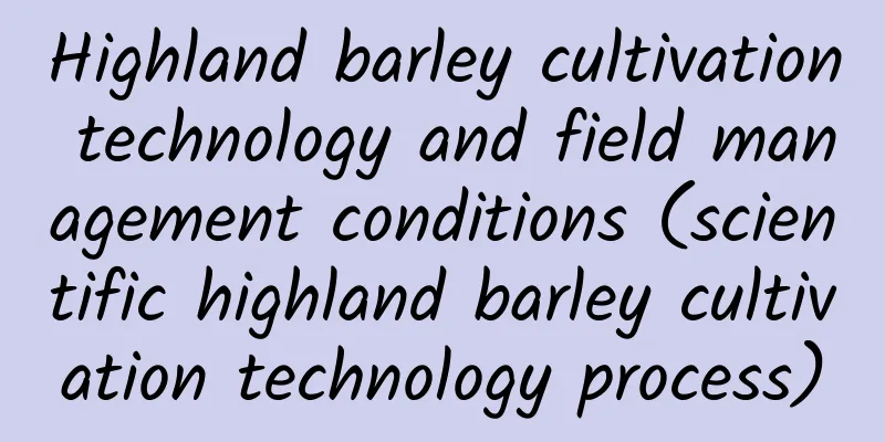 Highland barley cultivation technology and field management conditions (scientific highland barley cultivation technology process)