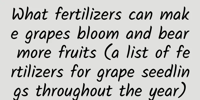 What fertilizers can make grapes bloom and bear more fruits (a list of fertilizers for grape seedlings throughout the year)