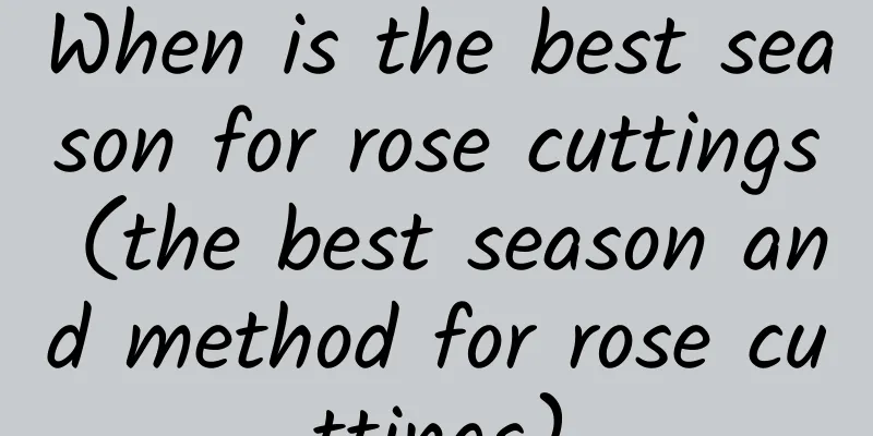 When is the best season for rose cuttings (the best season and method for rose cuttings)