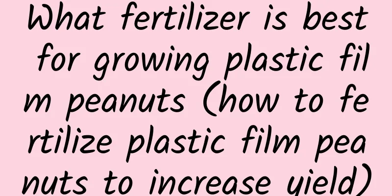 What fertilizer is best for growing plastic film peanuts (how to fertilize plastic film peanuts to increase yield)