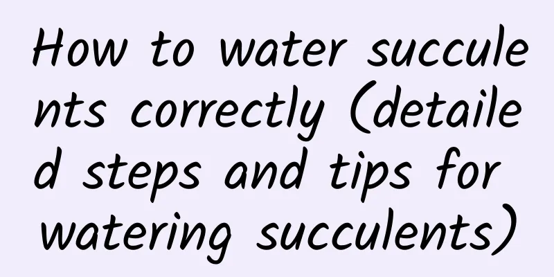 How to water succulents correctly (detailed steps and tips for watering succulents)