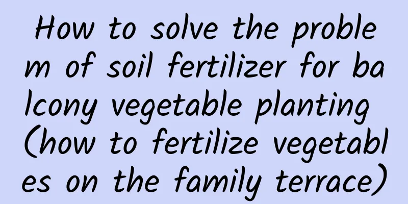 How to solve the problem of soil fertilizer for balcony vegetable planting (how to fertilize vegetables on the family terrace)