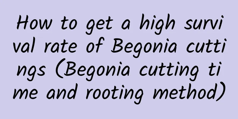 How to get a high survival rate of Begonia cuttings (Begonia cutting time and rooting method)
