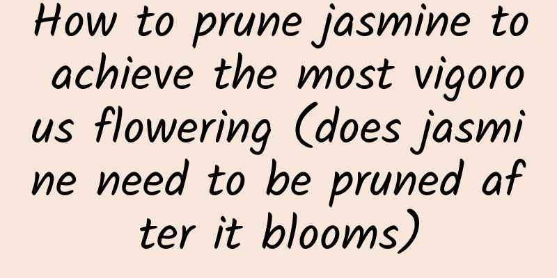 How to prune jasmine to achieve the most vigorous flowering (does jasmine need to be pruned after it blooms)