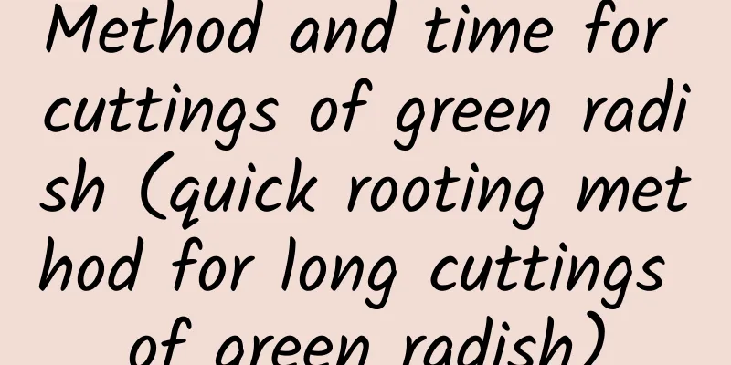 Method and time for cuttings of green radish (quick rooting method for long cuttings of green radish)