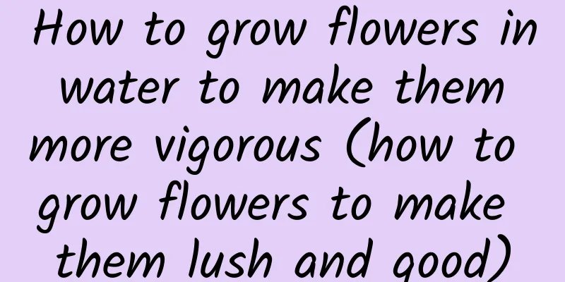 How to grow flowers in water to make them more vigorous (how to grow flowers to make them lush and good)