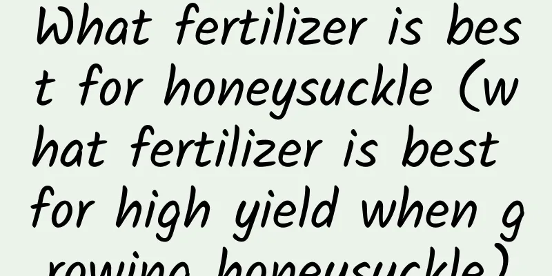 What fertilizer is best for honeysuckle (what fertilizer is best for high yield when growing honeysuckle)