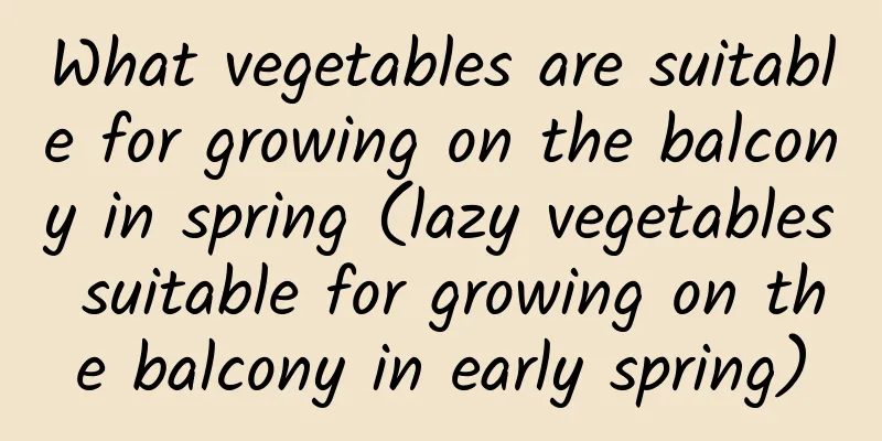 What vegetables are suitable for growing on the balcony in spring (lazy vegetables suitable for growing on the balcony in early spring)