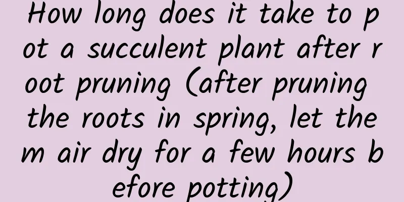 How long does it take to pot a succulent plant after root pruning (after pruning the roots in spring, let them air dry for a few hours before potting)