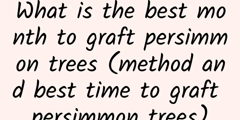 What is the best month to graft persimmon trees (method and best time to graft persimmon trees)