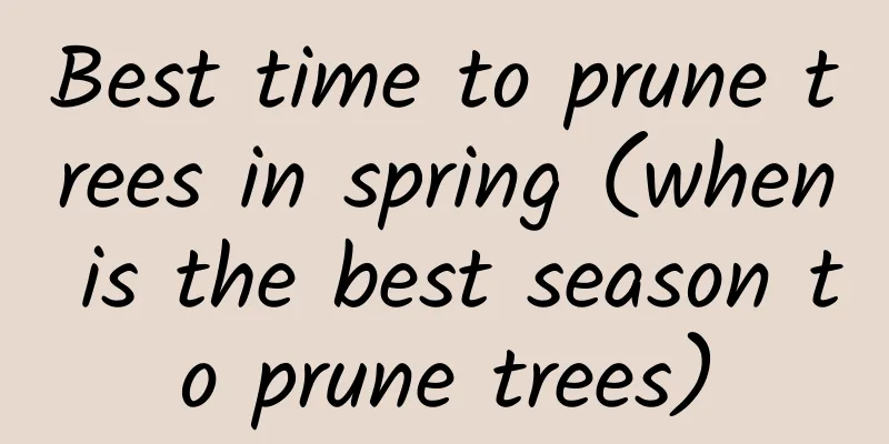 Best time to prune trees in spring (when is the best season to prune trees)